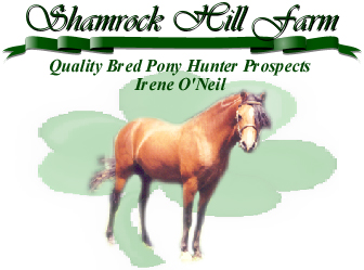 logo.jpg